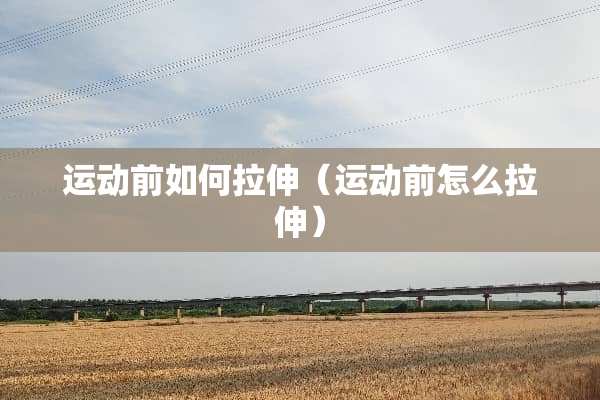 运动前如何拉伸（运动前怎么拉伸）