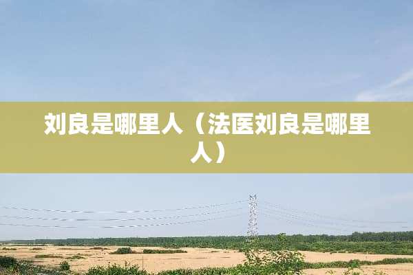 刘良是哪里人（法医刘良是哪里人）