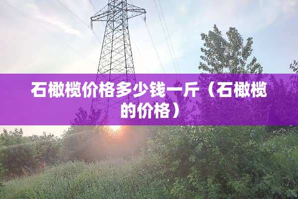 石橄榄价格多少钱一斤（石橄榄的价格）