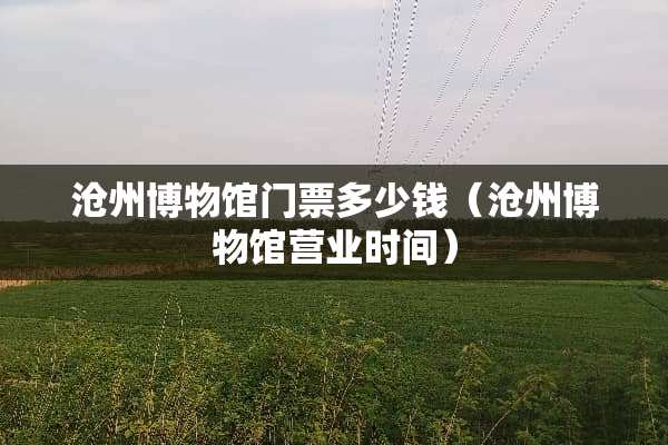 沧州博物馆门票多少钱(沧州博物馆营业时间) 沧州博物馆门票多少钱(沧州博物馆营业时间)