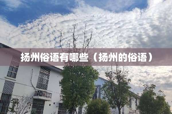 扬州俗语有哪些（扬州的俗语）