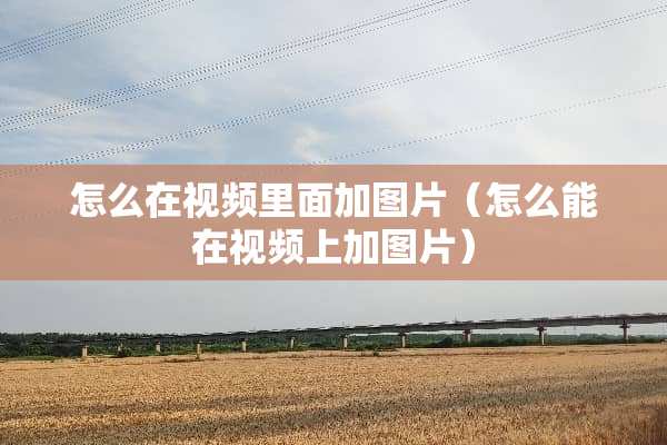 怎么在视频里面加图片（怎么能在视频上加图片）