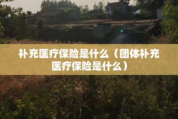 补充医疗保险是什么（团体补充医疗保险是什么）