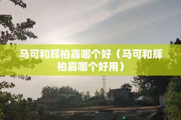 马可和辉柏嘉哪个好(马可和辉柏嘉哪个好用) 马可和辉柏嘉哪个好(马可和辉柏嘉哪个好用)