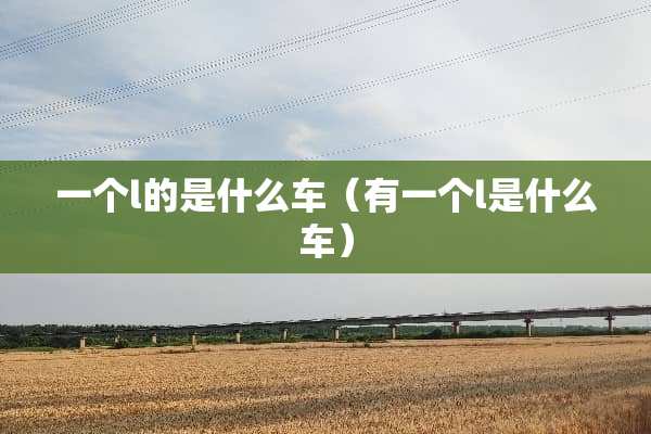 一个l的是什么车（有一个l是什么车）