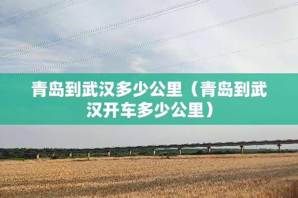 青岛到武汉多少公里（青岛到武汉开车多少公里）