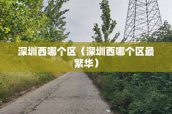 深圳西哪个区（深圳西哪个区最繁华）