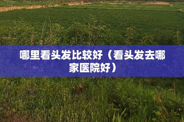 哪里看头发比较好（看头发去哪家医院好）