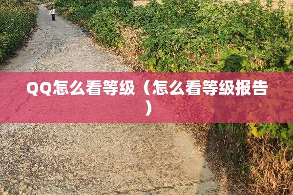 QQ怎么看等级（怎么看等级报告）