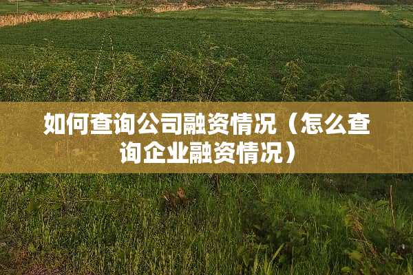 如何查询公司融资情况（怎么查询企业融资情况）
