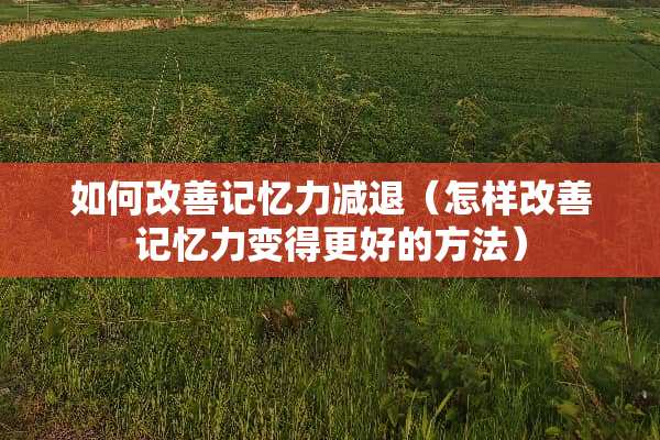 如何改善记忆力减退（怎样改善记忆力变得更好的方法）