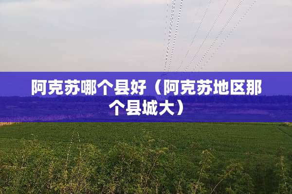 阿克苏哪个县好（阿克苏地区那个县城大）
