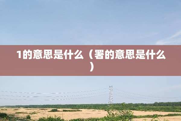1的意思是什么（署的意思是什么）