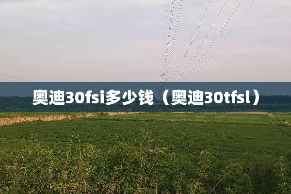 奥迪30fsi多少钱（奥迪30tfsl）
