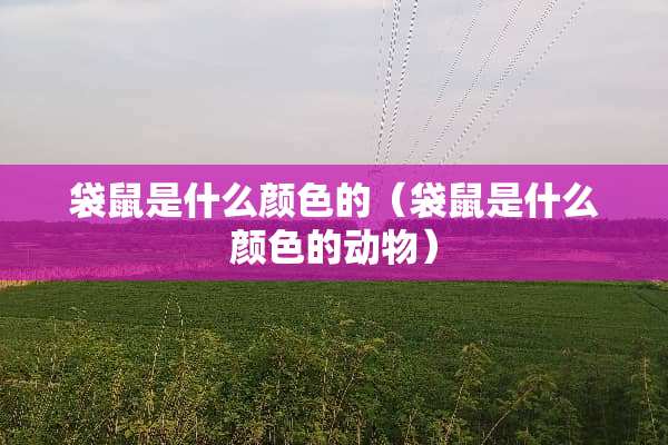 袋鼠是什么颜色的（袋鼠是什么颜色的动物）
