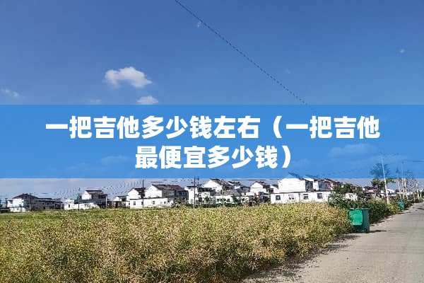 一把吉他多少钱左右（一把吉他最便宜多少钱）