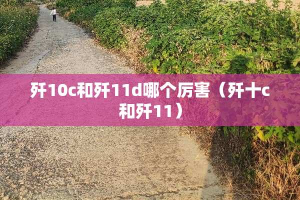 歼10c和歼11d哪个厉害（歼十c和歼11）