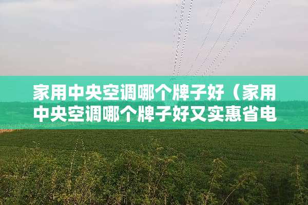 家用**空调哪个牌子好（家用**空调哪个牌子好又实惠省电）
