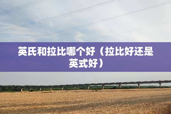 英氏和拉比哪个好（拉比好还是英式好）
