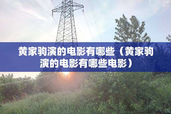 黄家驹演的电影有哪些（黄家驹演的电影有哪些电影）