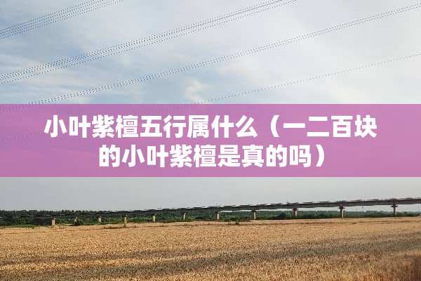 小叶紫檀五行属什么（一二百块的小叶紫檀是真的吗）