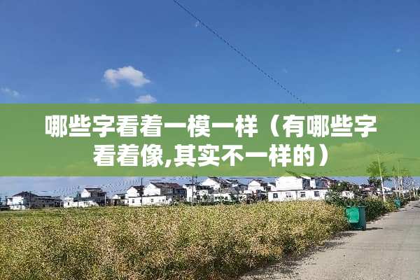 哪些字看着一模一样（有哪些字看着像,其实不一样的）