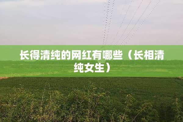 长得清纯的网红有哪些（长相清纯女生）