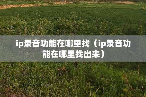 ip录音功能在***（ip录音功能在***出来）