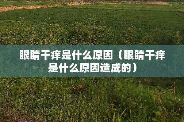 眼睛干痒是什么原因（眼睛干痒是什么原因造成的）