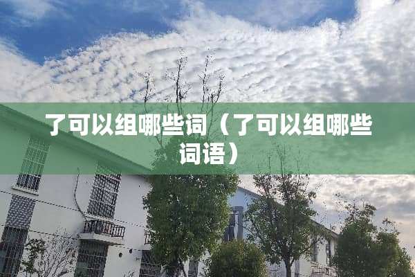 了可以组哪些词（了可以组哪些词语）