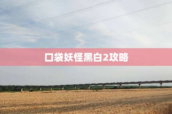 口袋妖怪黑白2攻略