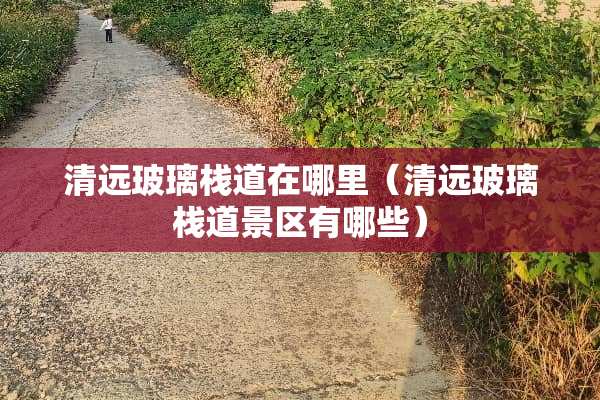 清远玻璃栈道在哪里（清远玻璃栈道景区有哪些）