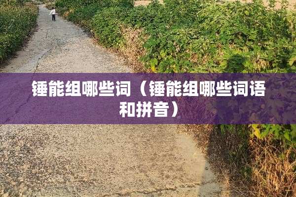 锤能组哪些词（锤能组哪些词语和拼音）