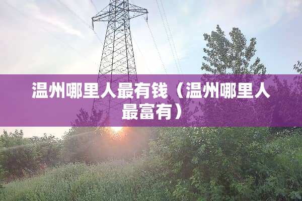 温州哪里人最有钱（温州哪里人最富有）