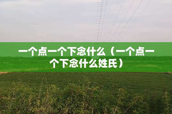 一个点一个下念什么（一个点一个下念什么姓氏）