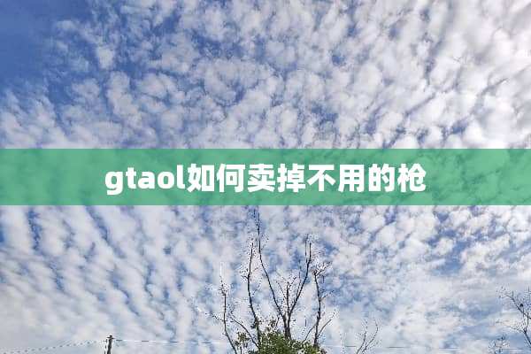 gtaol如何卖掉不用的* gtaol如何卖掉不用的*