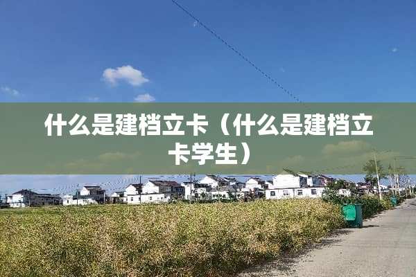 什么是建档立卡（什么是建档立卡学生）