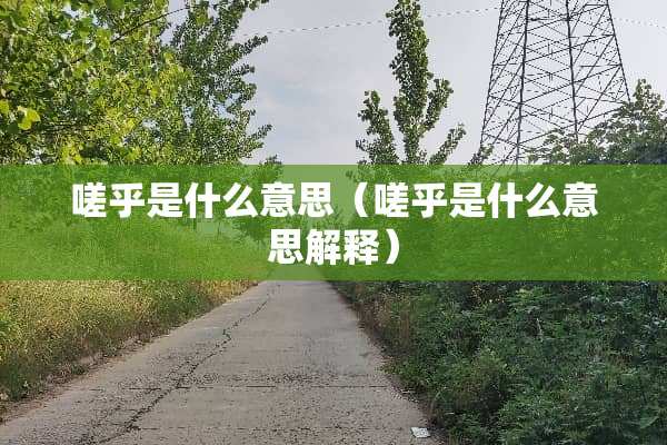 嗟乎是什么意思（嗟乎是什么意思解释）