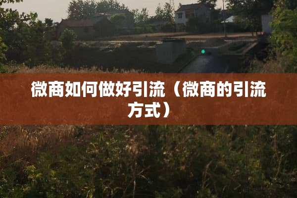 微商如何做好引流（微商的引流方式）