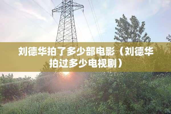***拍了多少部电影（***拍过多少电视剧）