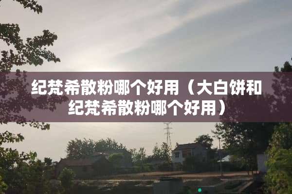 纪梵希散粉哪个好用（大白饼和纪梵希散粉哪个好用）