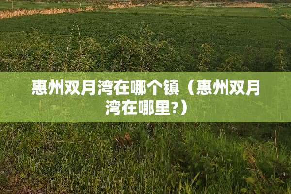 惠州双月湾在哪个镇（惠州双月湾在哪里?）