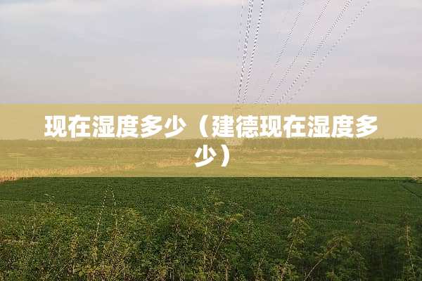 现在湿度多少（建德现在湿度多少）