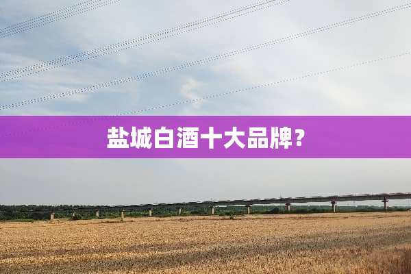 盐城白酒十大品牌？