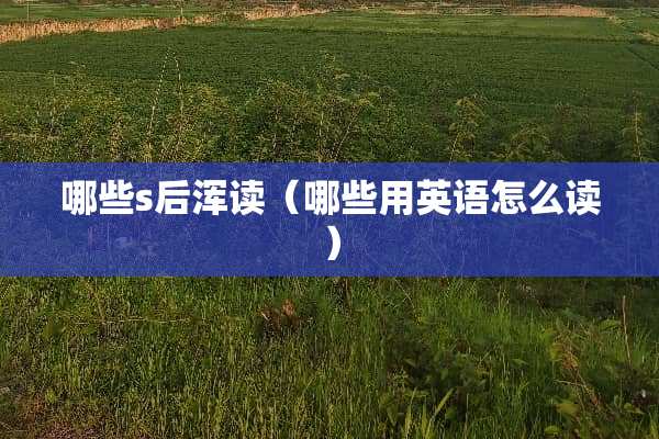 哪些s后浑读（哪些用英语怎么读）