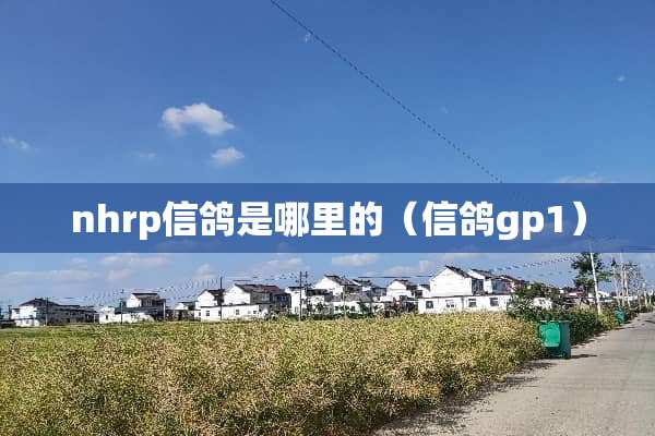 nhrp信鸽是哪里的（信鸽gp1）