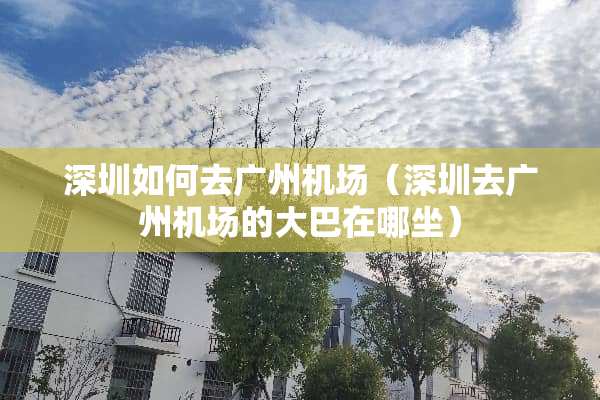 深圳如何去广州机场（深圳去广州机场的大巴在哪坐）