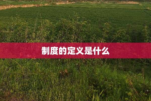 制度的定义是什么