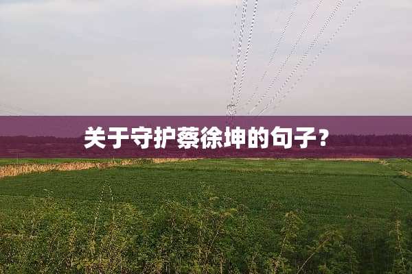 关于守护蔡徐坤的句子？