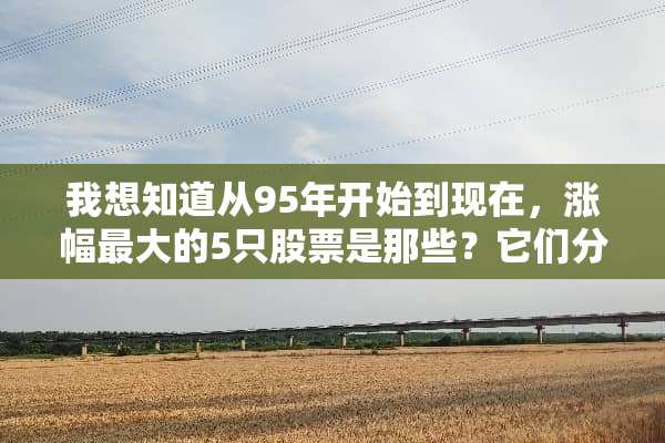 我想知道从95年开始到现在，涨幅最大的5只股票是那些？它们分别各涨了多少倍？